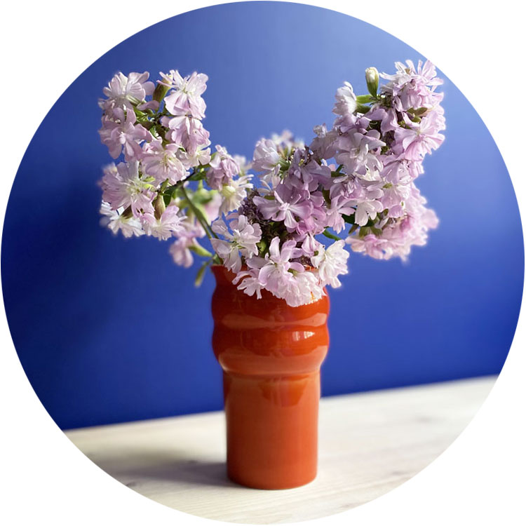 Mehr von Iuni Ceramics!