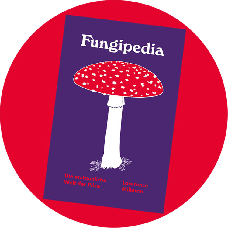 Bücher im TSCHAU TSCHÜSSI