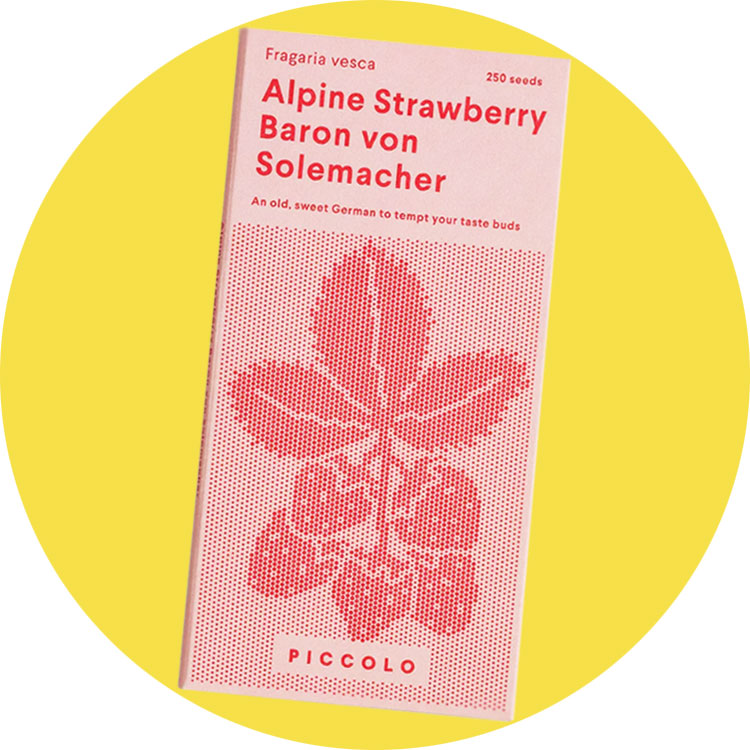 Saatgut von Piccolo Seeds!