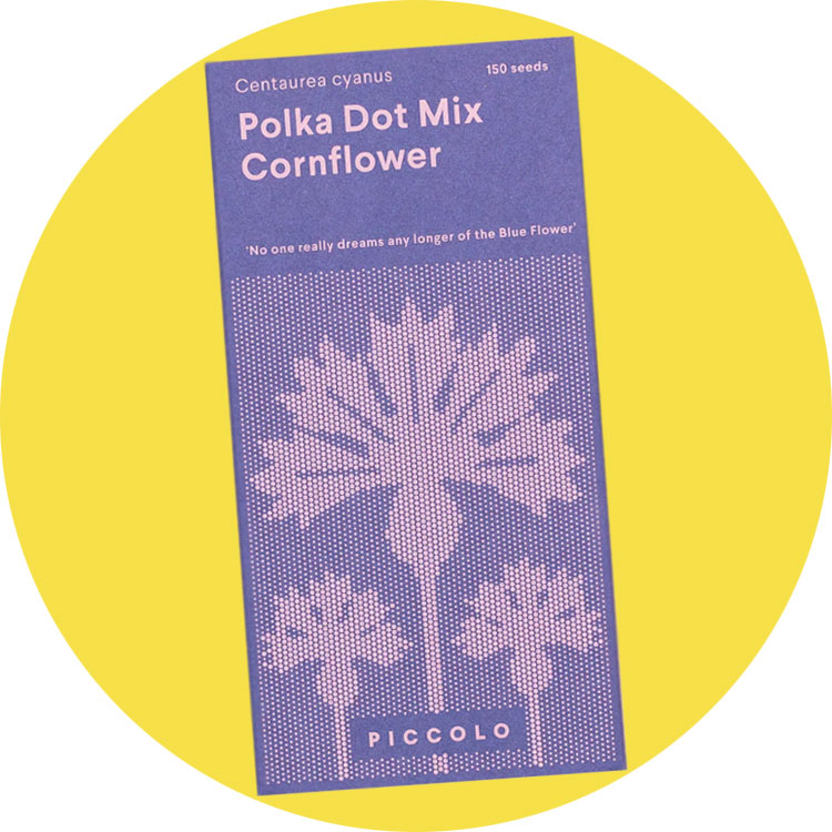Saatgut von Piccolo Seeds!