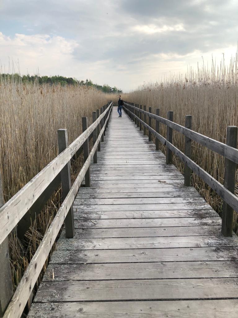 Irina am Naturreservat Tåkern