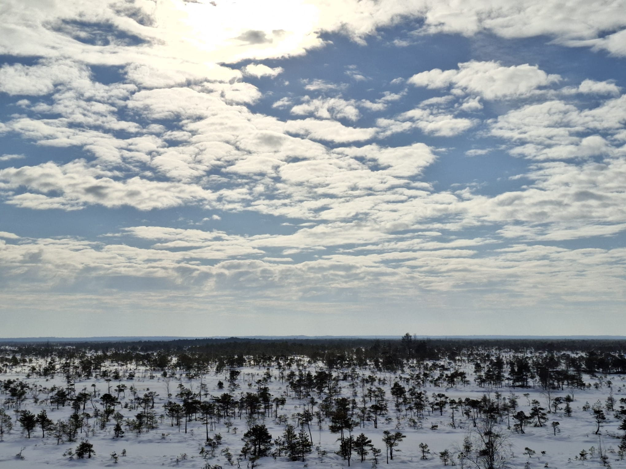 Ausflug zum Kemeri Nationalpark bei Schnee. (Foto: Luzia)