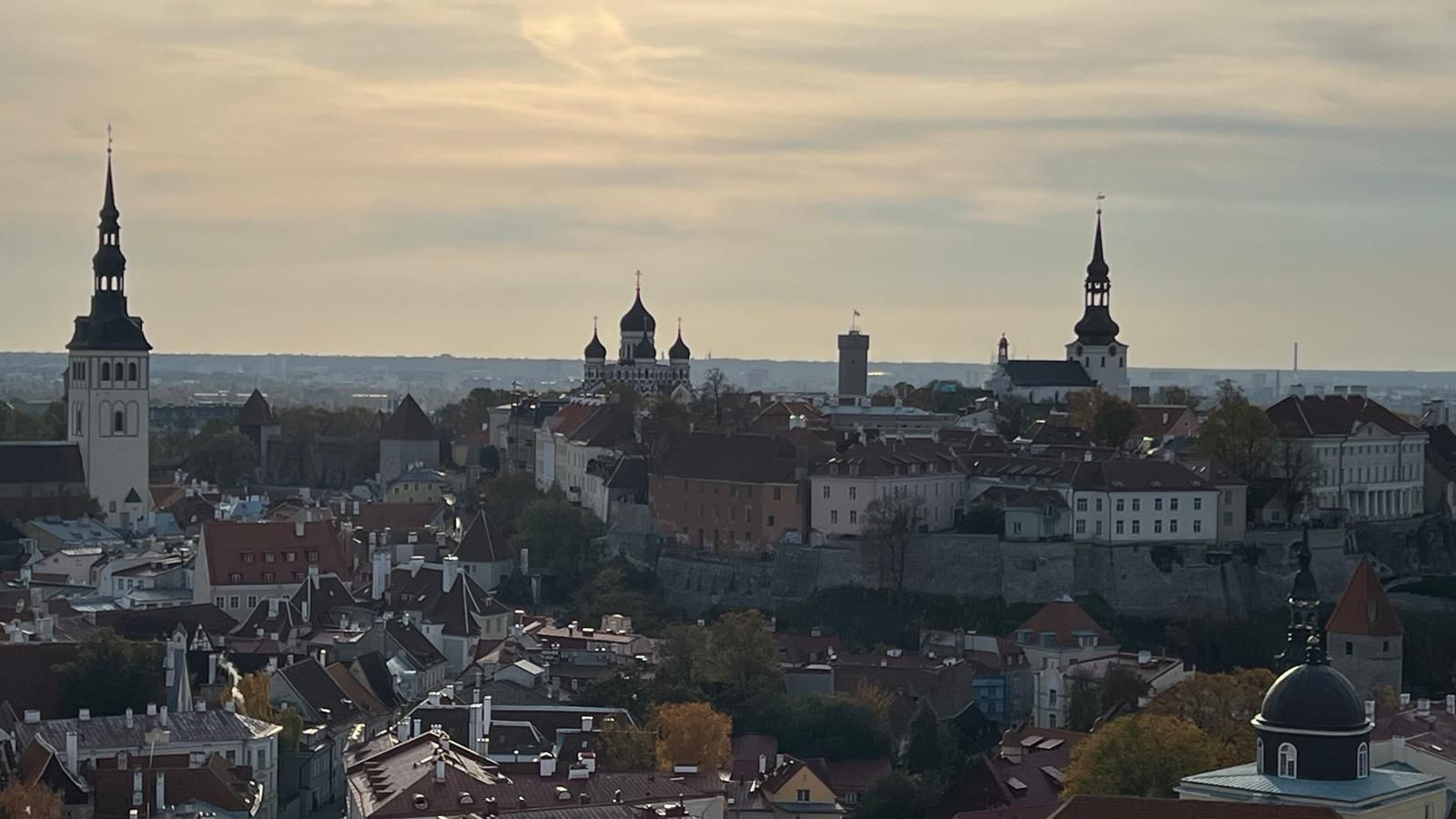 Ausblick über Tallinn