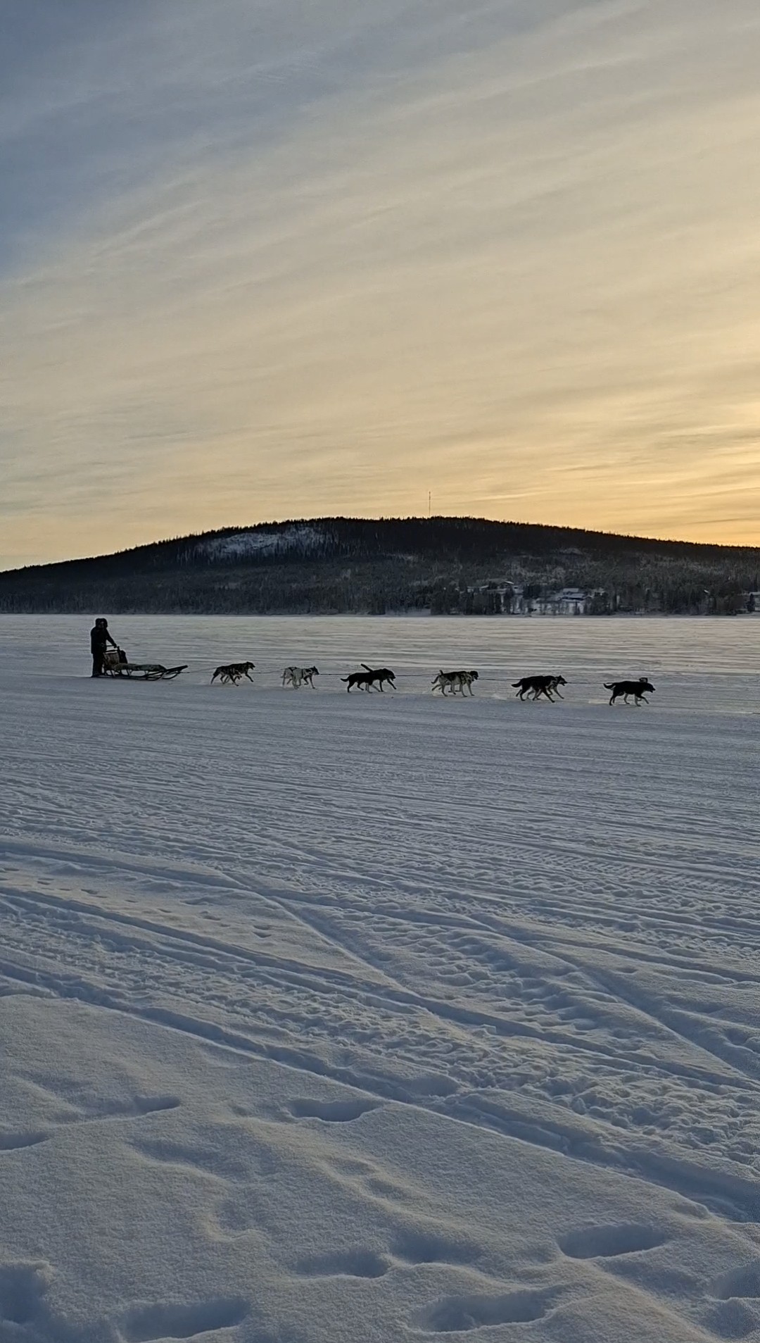 Ein traditioneller Hundeschlitten in Kiruna.