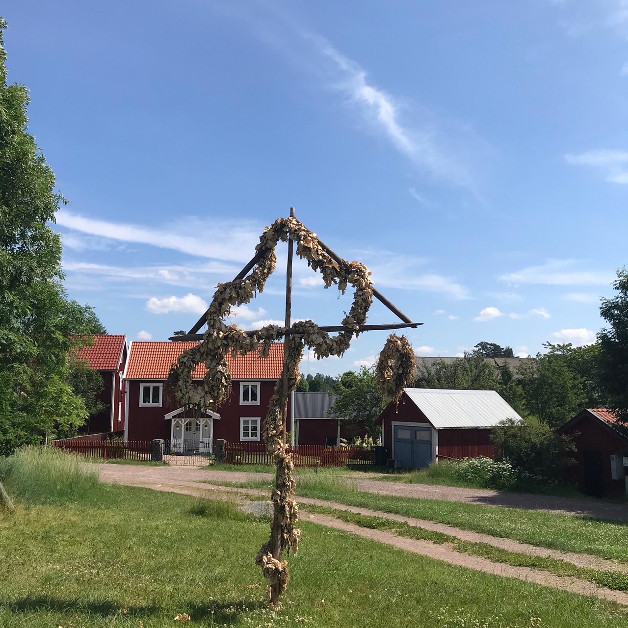 Midsommar in Zeiten von Corona: vertrockneter Midsommarbaum aus 2019