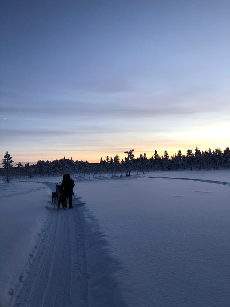 Dem Sonnenuntergang entgegen