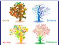 ÁRBOL Y ESTACIONES