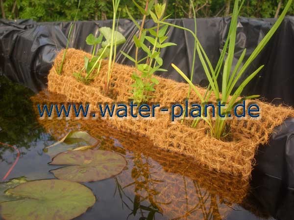 Pflanztaschen Fur Teich