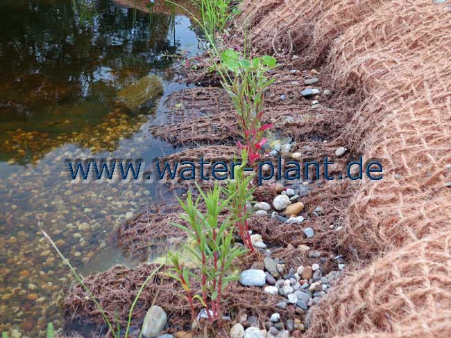 Pflanzmatte, 1,0 m x 2,5 m WaterPlant