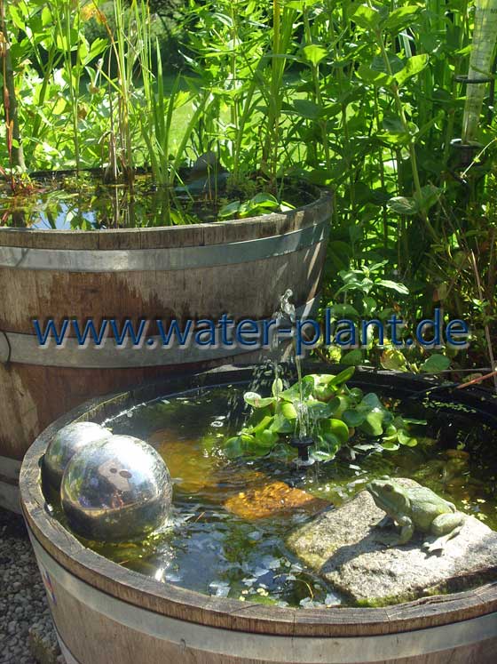 44+ Pflanzmatten Für Teich, Wir empfehlen diese ufermatte für