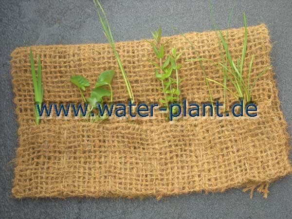 Pflanztaschen WaterPlant