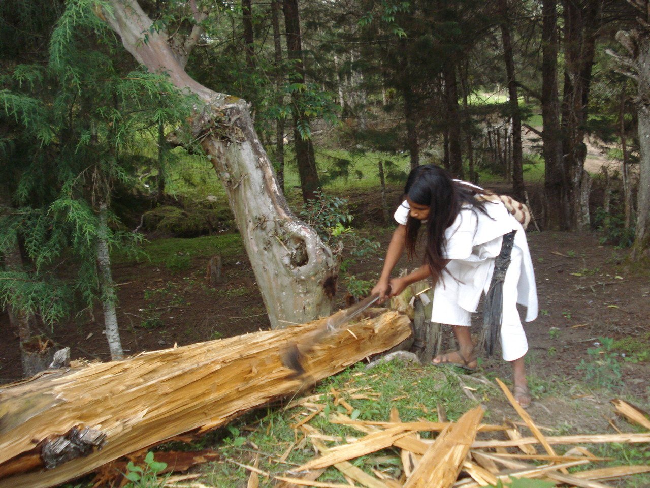 BunkuaKukui cortando leña para el Fogón