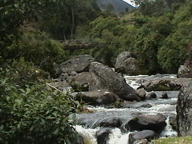 Río Piendamó