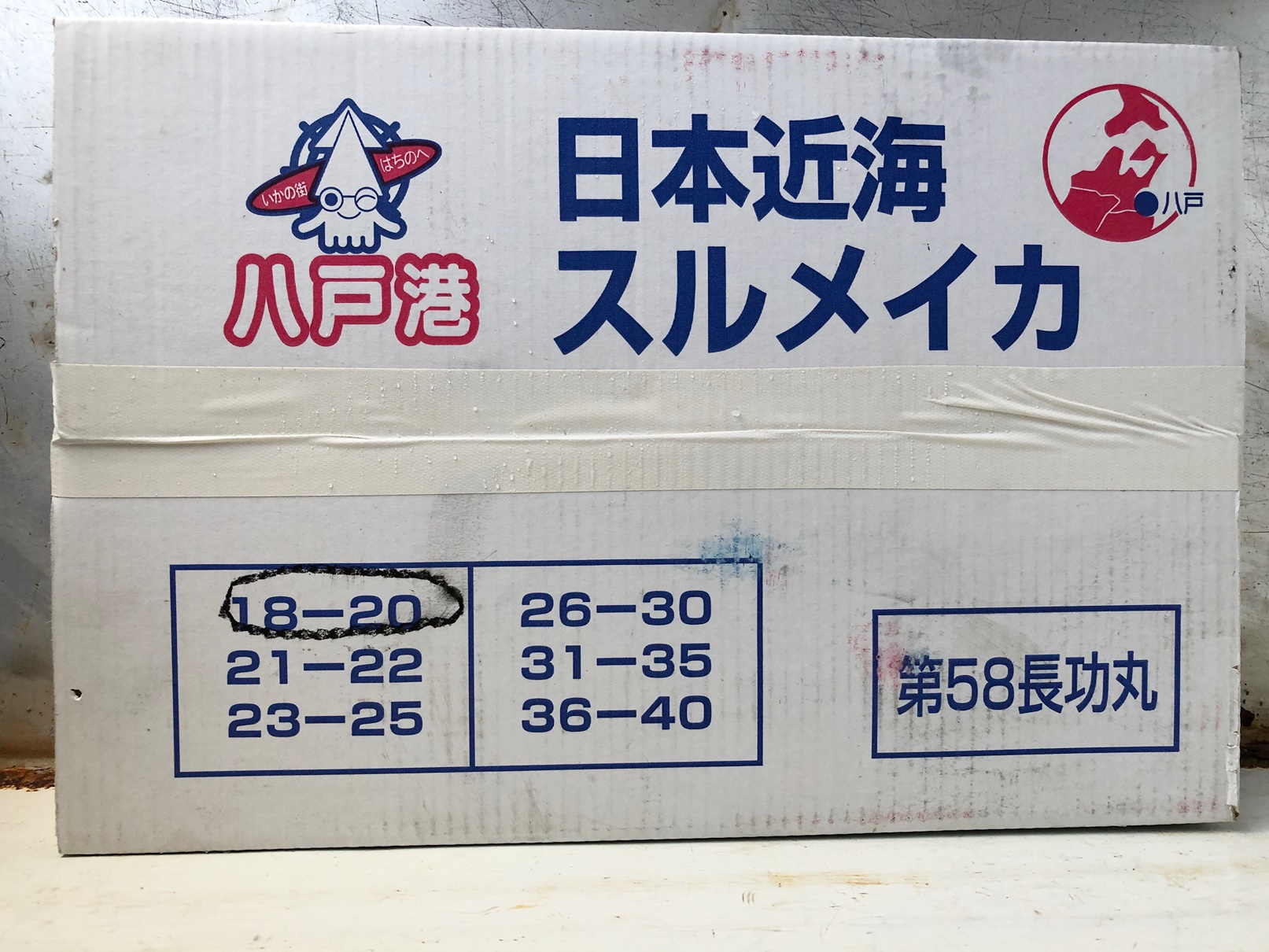 スルメイカの大不漁と当社での取り扱いについて 焼津の村兼水産株式会社