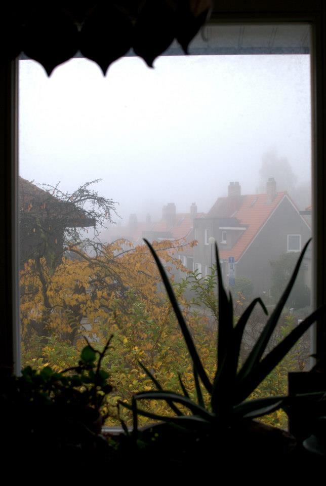 Automne à Woluwé 