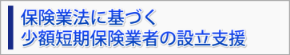 保険業法に基づく少額短期保険業者の設立支援