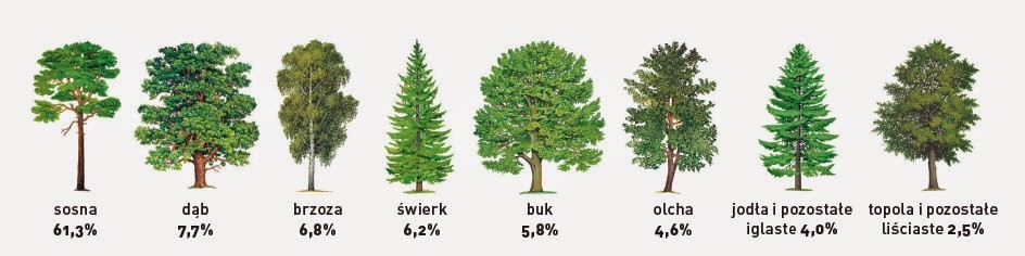 szata-ro-linna-w-polsce-przyrodalekcje