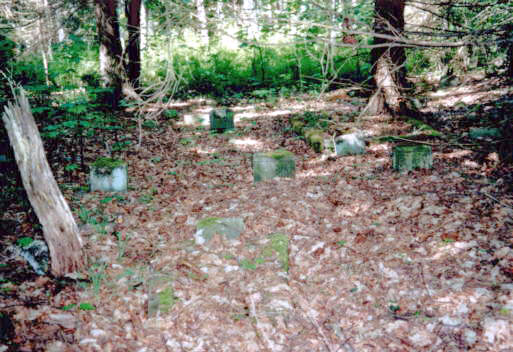 Sorchow Friedhof 2