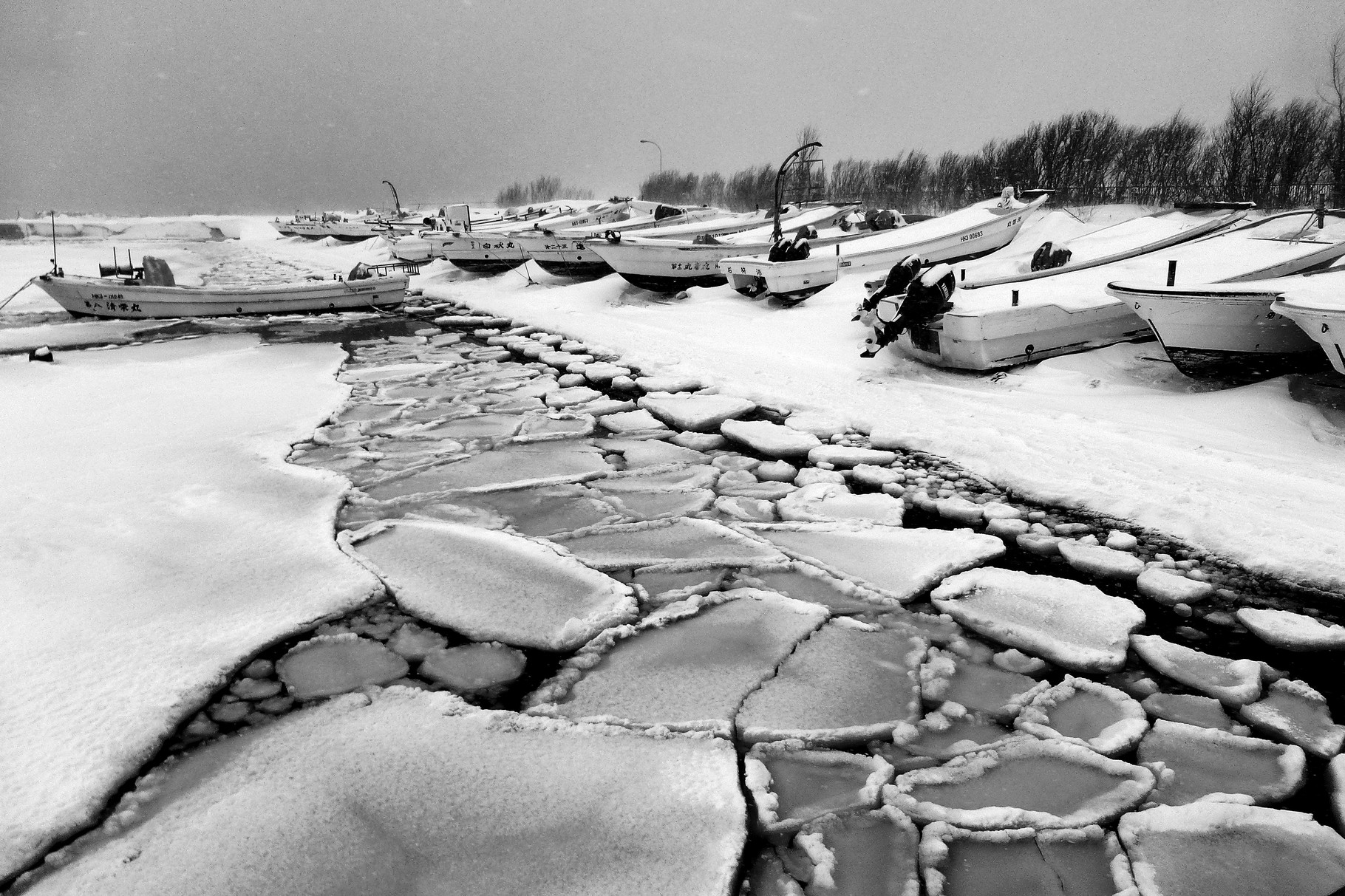 フォトコンテスト はまなすフェスティバル 石狩浜の知られざる魅力を発見