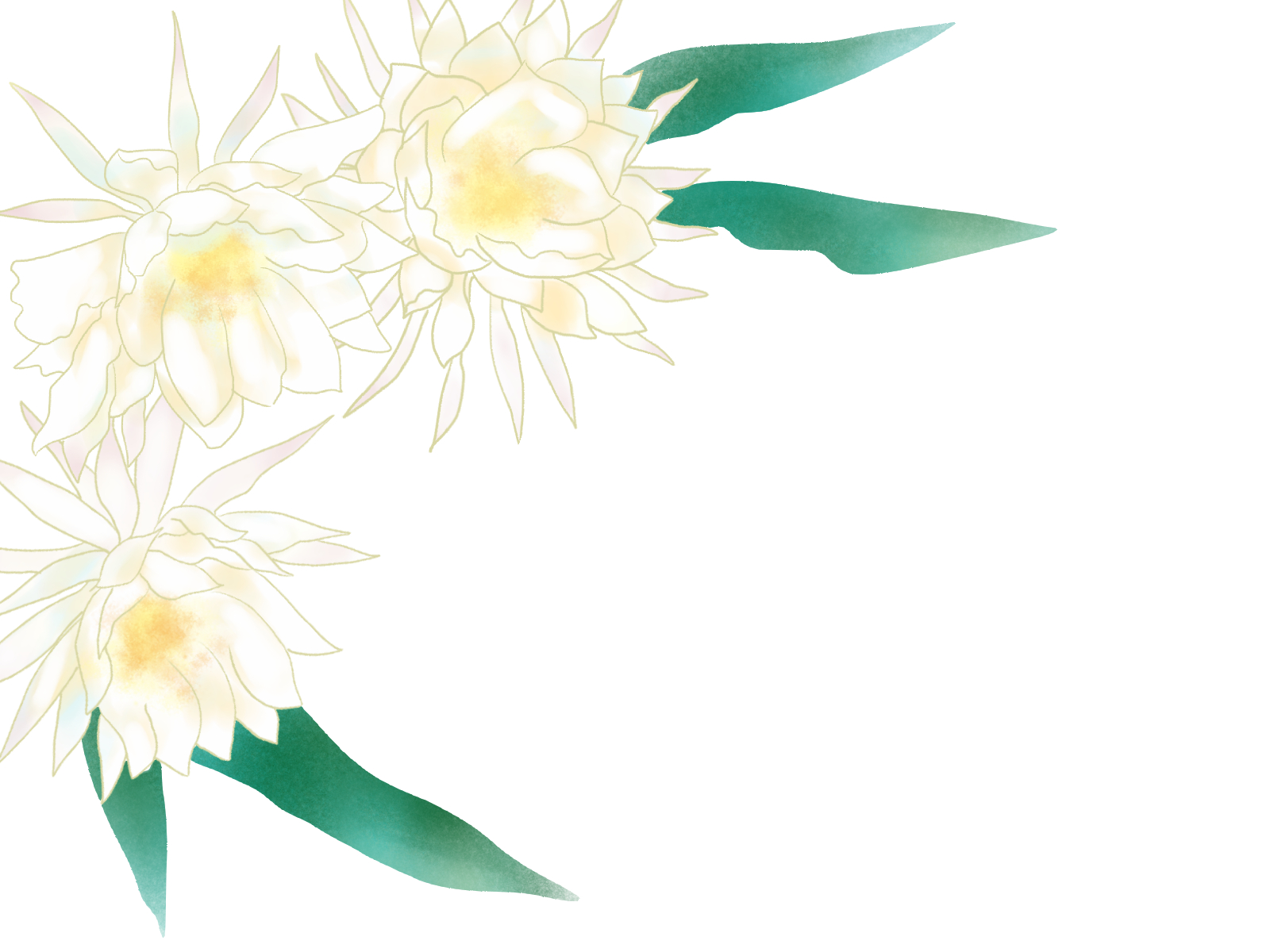 ビットコイン - 川﨑税理士事務所 ～東京都港区北青山の女性税理士 川﨑由紀子 税金・経理・決算・相続～