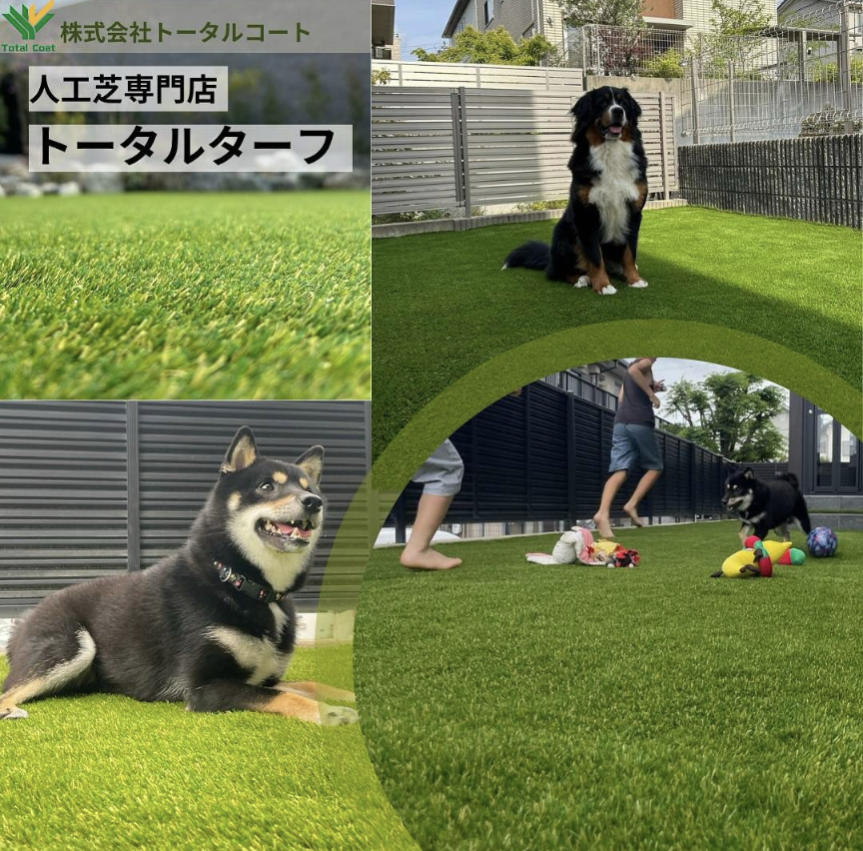 わんちゃんと暮らす家に人工芝が選ばれる理由