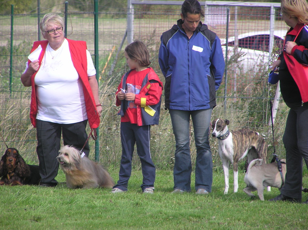 Jills erste Hundeausstellung