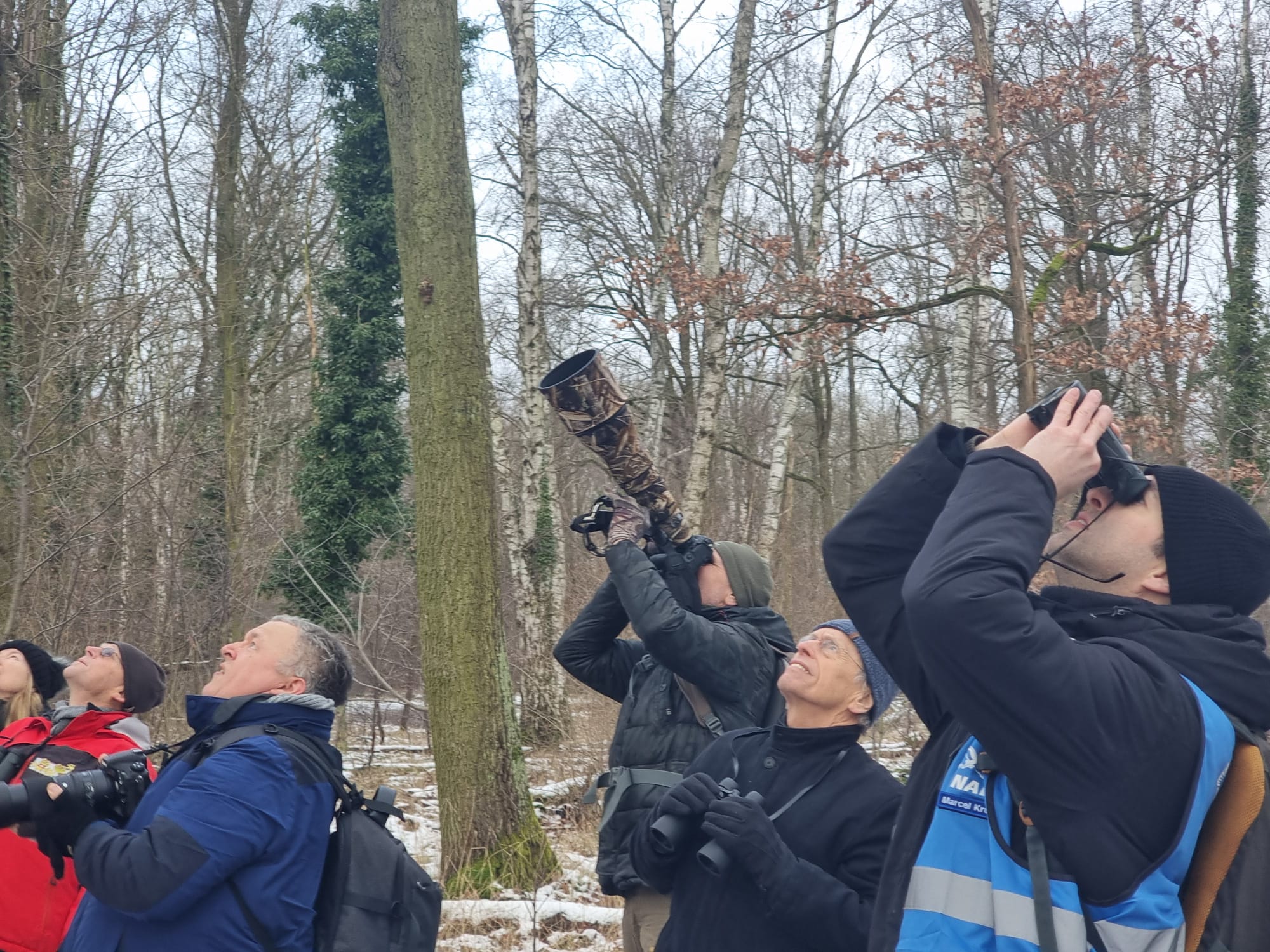 Exkursion - Stunde der Wintervögel 2025