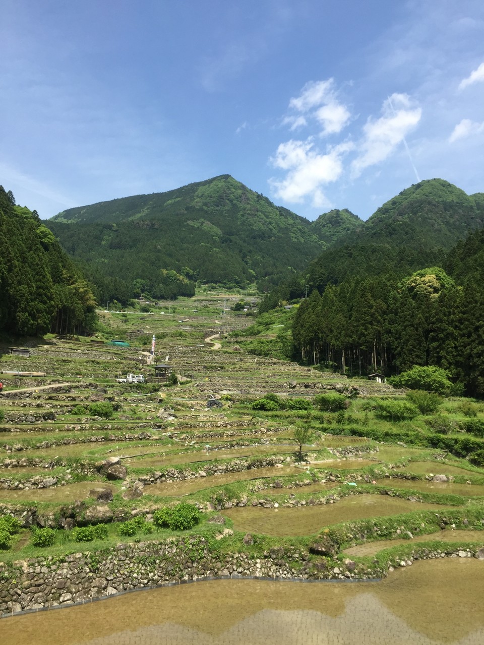 四谷千枚田