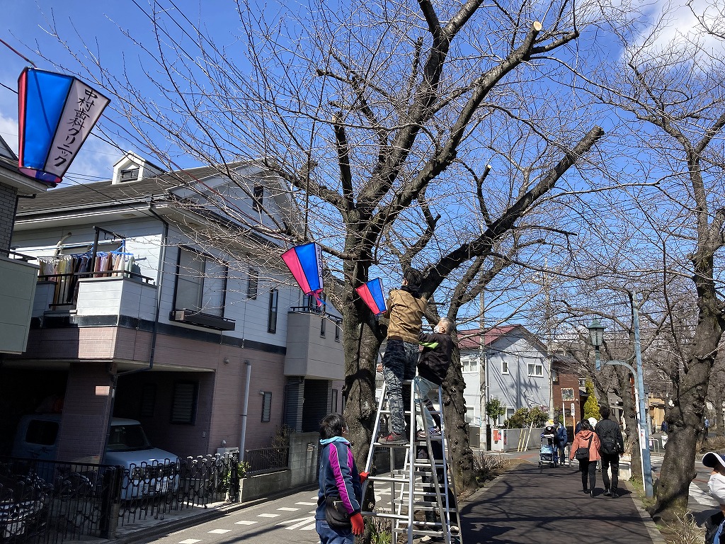 西南さくら祭りボンボリ付け