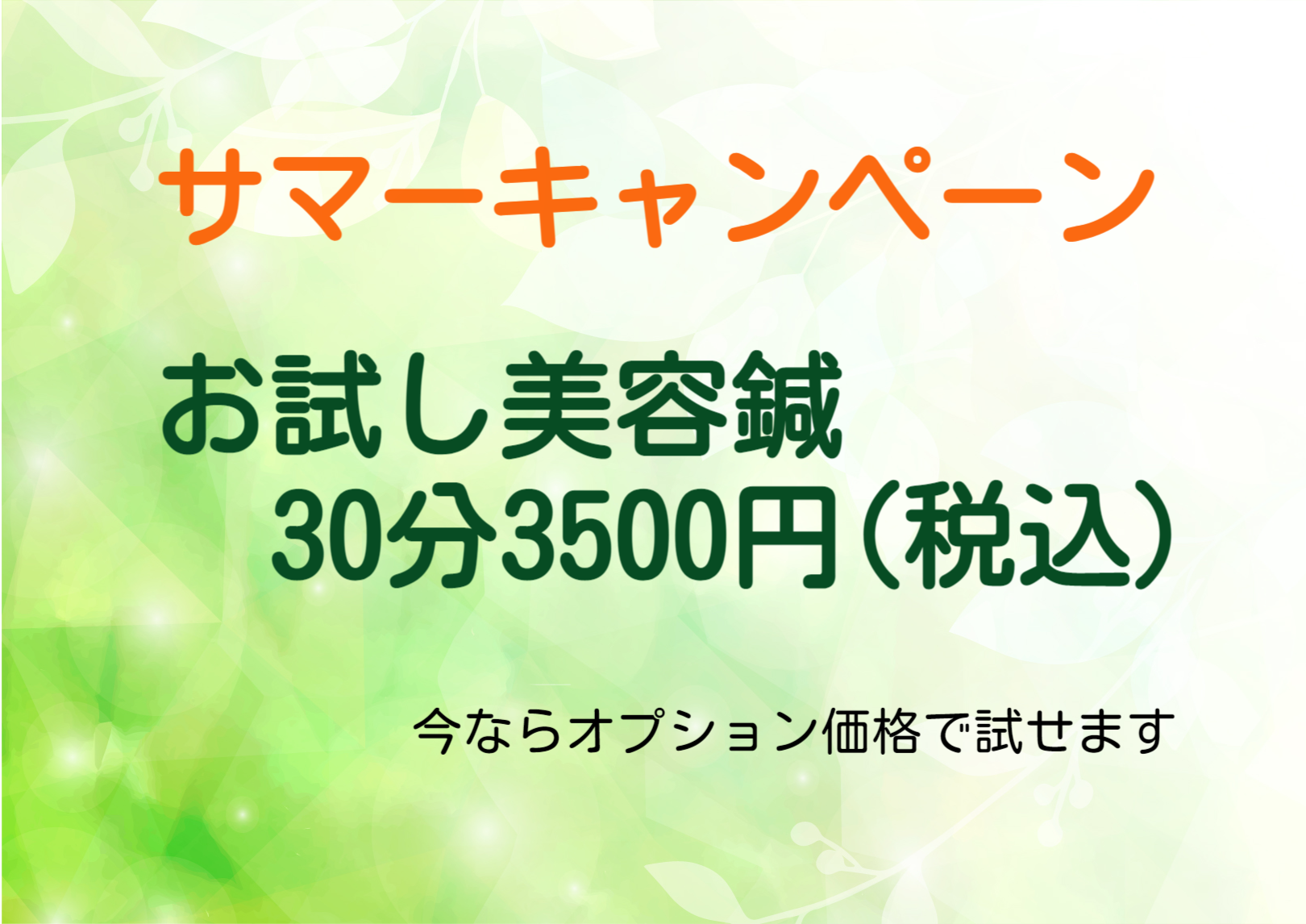 サマーキャンペーン