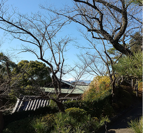 2022年新しい年の始まりです