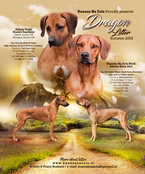 Dragon litter zomer 2019