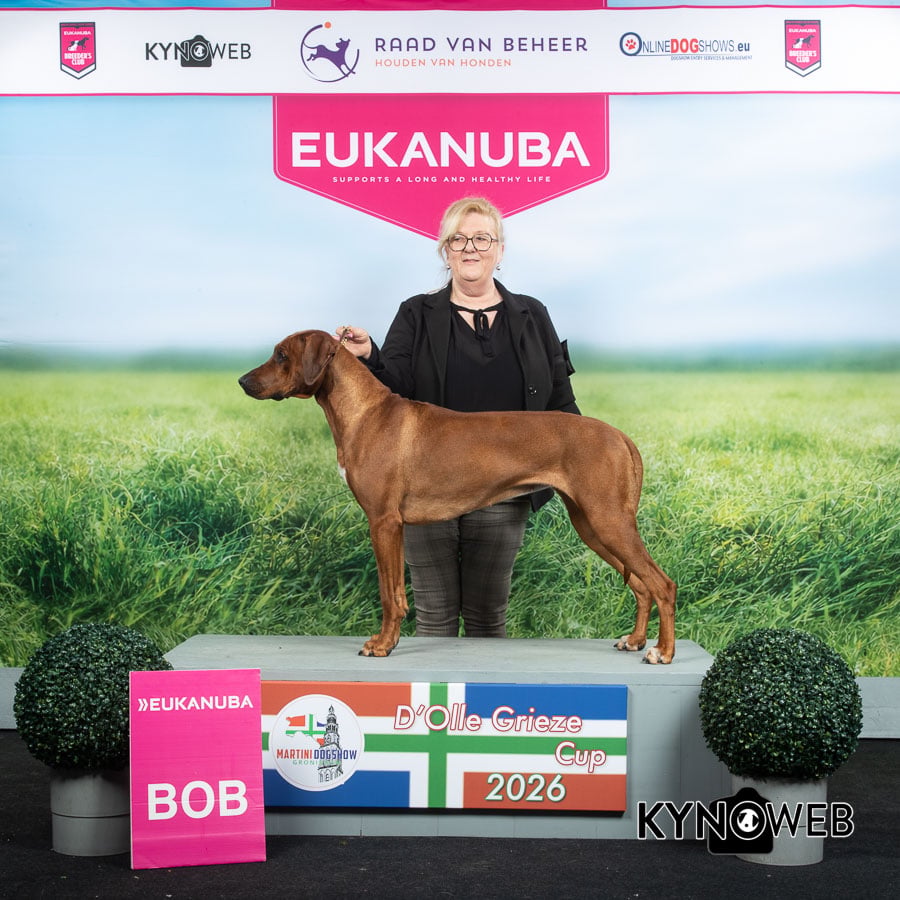 Dogshow Groningen