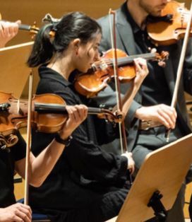Violinunterricht in Nürnberg