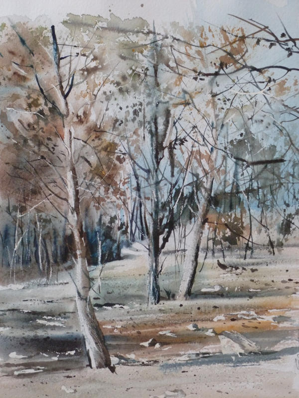 La pinède après l'incendie - n°3 - 36x55 collection privée(2010)
