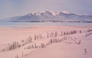 Canigou et ganivelles 29x39   (2018) Collection privée