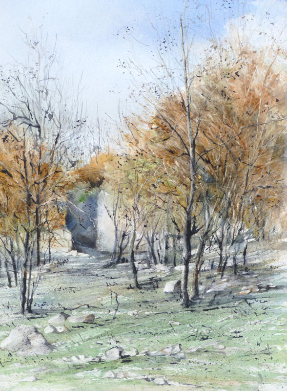 La pinède après l'incendie - n°13 - 36.5x56  collection privée (2013)