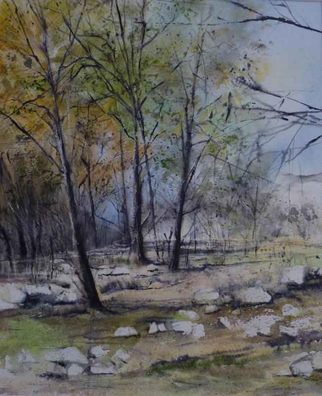 La pinède après l'incendie - n°14 - 37.5x43.5  Collection privée (2013)