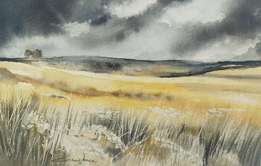 Paysage de Causse Lozère 