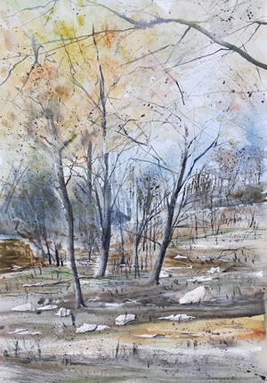 Après l'incendie n°51 (2024) 36x55 *