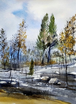 Après l'incendie N°57 A Tournissan (2026) 29x39