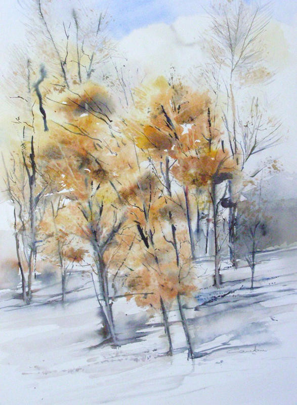 La pinède après l'incendie - n°7 - 36x55  * (2011)