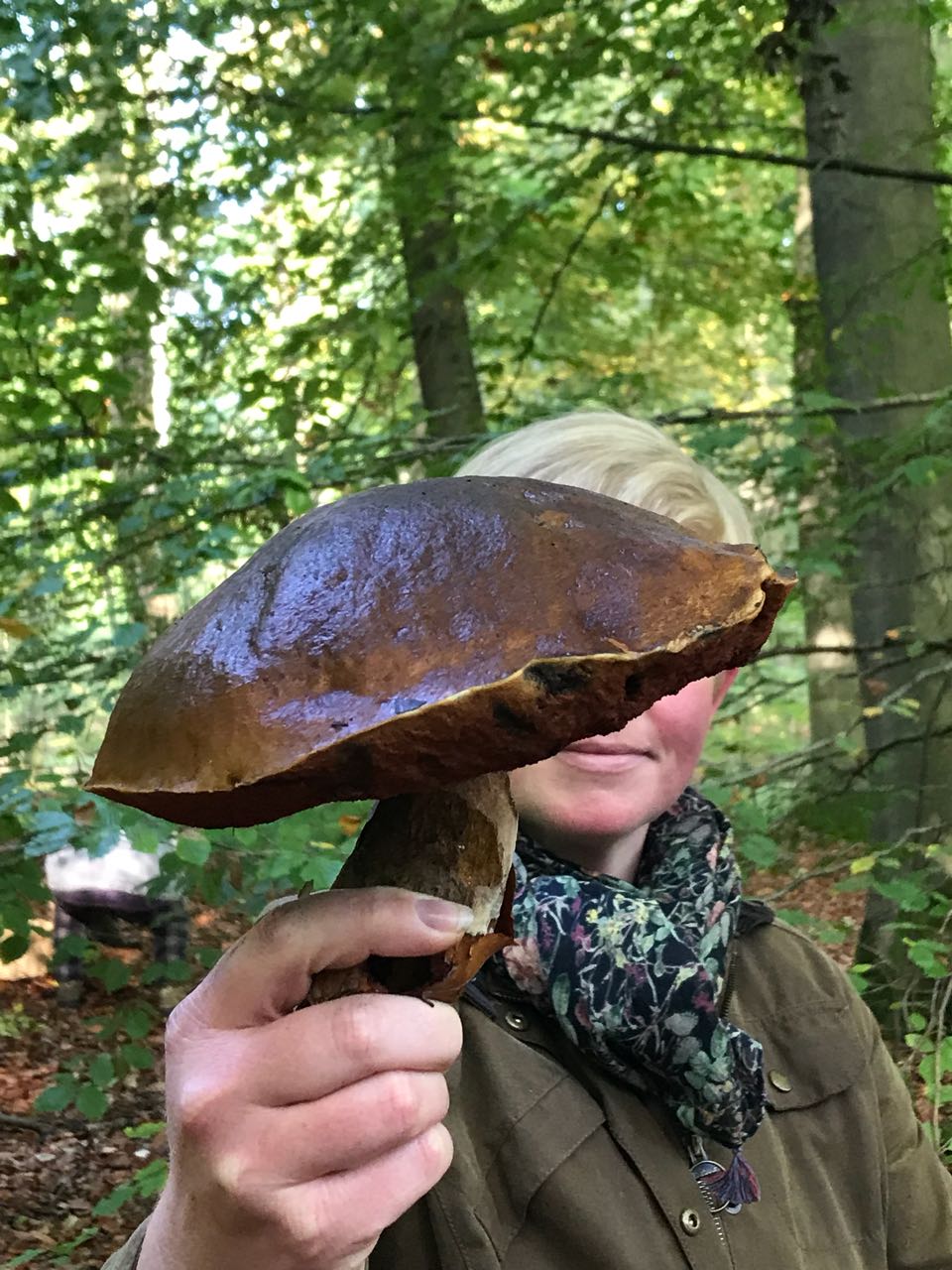 Flockenstielige Hexen-Röhrling (Boletus erythropus) leider schon zu alt