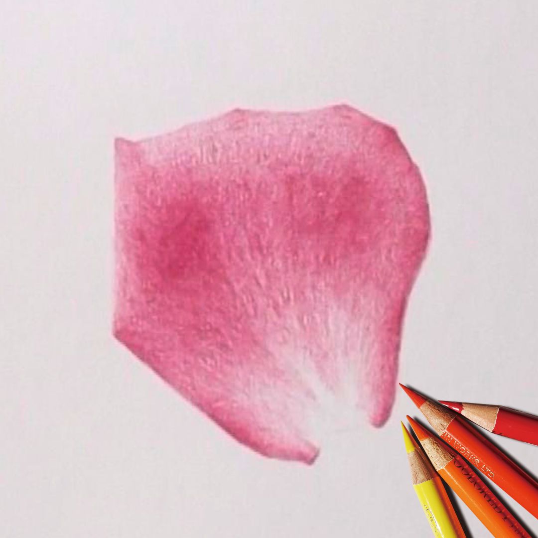 絵がデッサンが上手くなるには