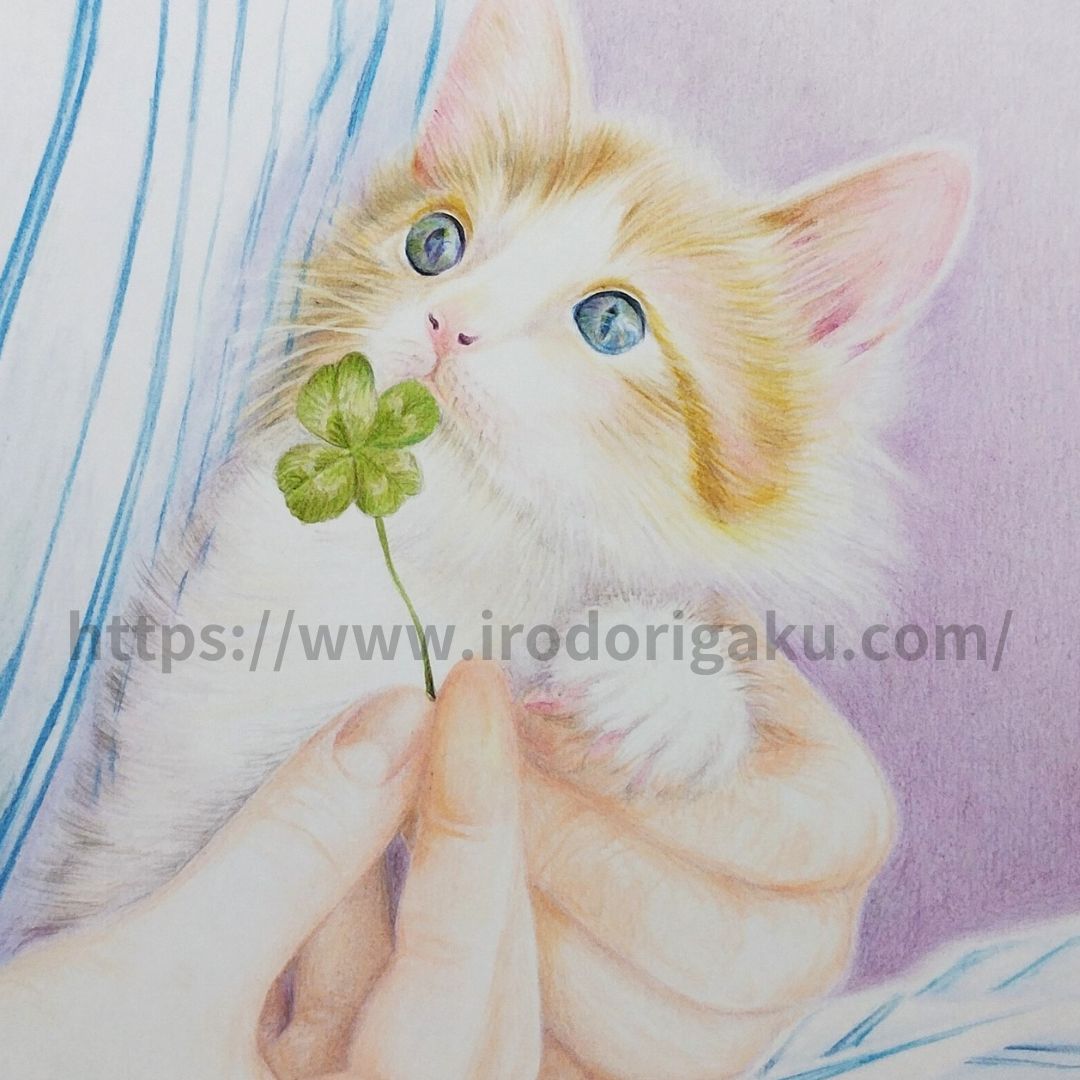 猫を写真から描く