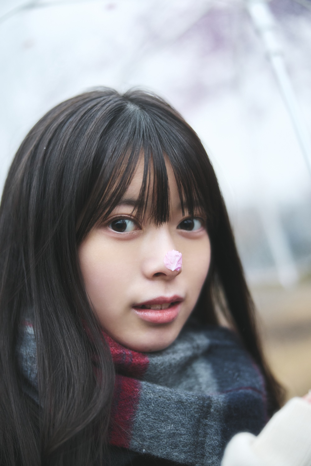 かわいい新作 image.jpg アイドル