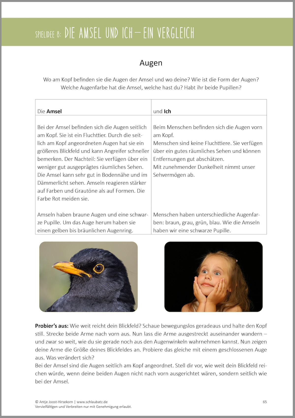 Ausgearbeitete Spielideen: Die Amsel und ich – ein Vergleich
