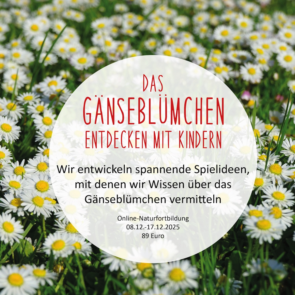 https://www.schlaubatz.de/naturfortbildungen/
