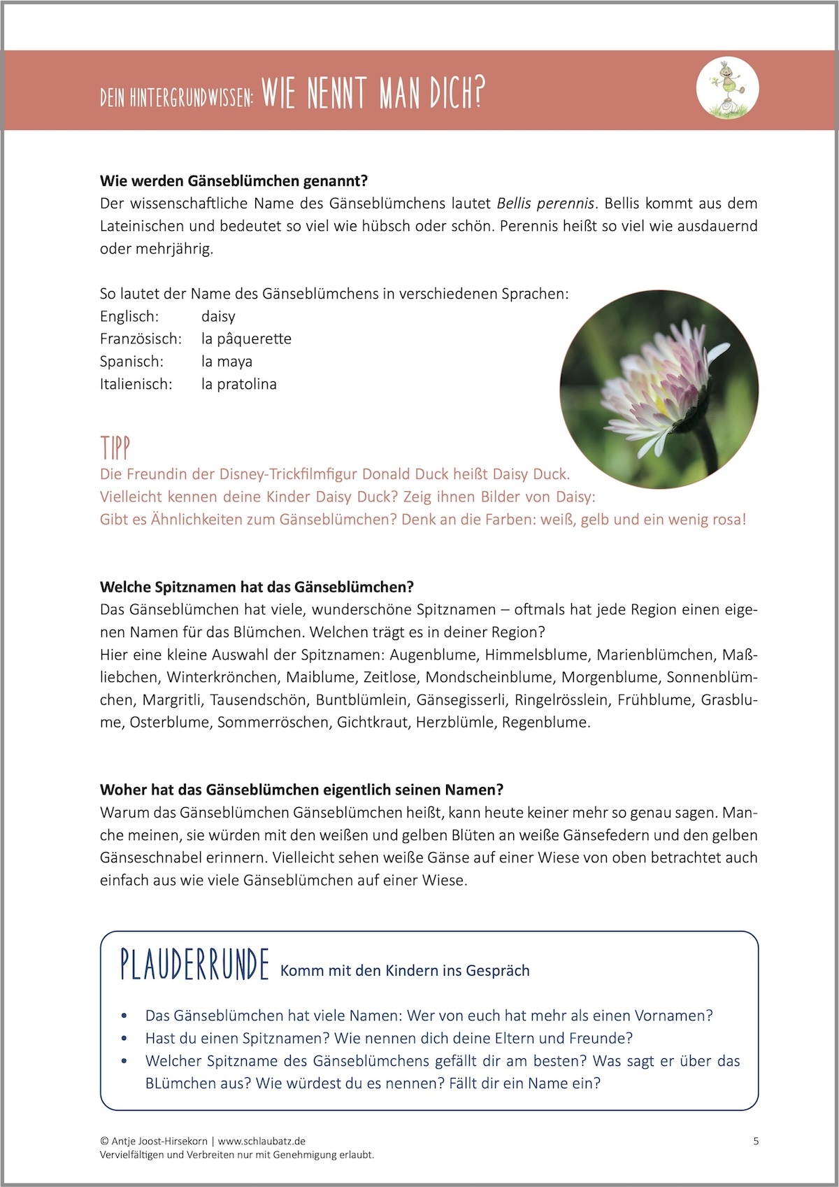 Hintergrundwissen und Plauderrunde
