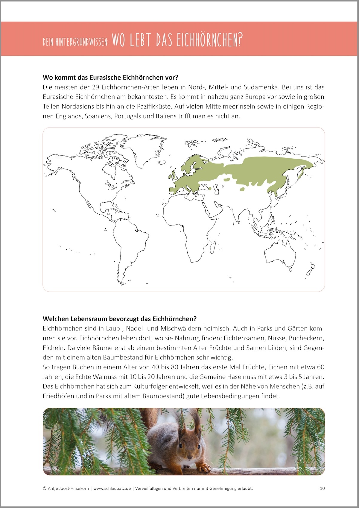 Auszug aus dem Materialpaket: Hintergrundwissen
